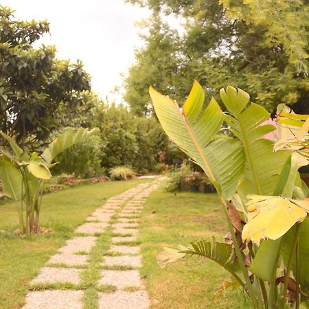 Spiaggia Lazzarettohouse อาลเกโร ภายนอก รูปภาพ